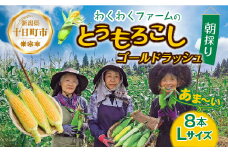 ｜先行予約受付｜ 令和7年産 朝採れ とうもろこし ゴールドラッシュ Lサイズ 8本 甘い 国産 トウモロコシ 産地直送 新鮮 フレッシュ コーン 農園 野菜 農作物 わくわくファーム 送料無料