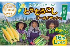 ｜先行予約受付｜令和7年産 朝採れ とうもろこし ゴールドラッシュ Lサイズ 16本 甘い 国産 トウモロコシ 産地直送 新鮮 フレッシュ コーン 農園 野菜 農作物 わくわくファーム 送料無料