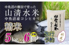 【先行新米予約】【定期便／全6回】精米5kg　新潟県魚沼産コシヒカリ「山清水米」十日町市 米