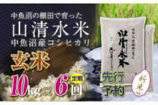 【先行新米予約】【定期便／全6回】玄米10kg　新潟県魚沼産コシヒカリ「山清水米」十日町市 米