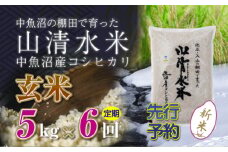 【先行新米予約】【定期便／全6回】玄米5kg　新潟県魚沼産コシヒカリ「山清水米」十日町市 米