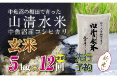 【先行新米予約】【定期便／全12回】玄米5kg　新潟県魚沼産コシヒカリ「山清水米」十日町市 米