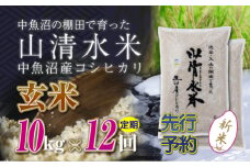【先行新米予約】【定期便／全12回】玄米10kg　新潟県魚沼産コシヒカリ「山清水米」十日町市 米