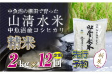 【先行新米予約】【定期便／全12回】精米2kg　新潟県魚沼産コシヒカリ「山清水米」十日町市 米