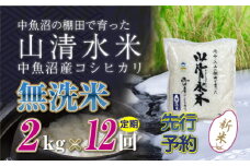 【先行新米予約】【定期便／全12回】無洗米2kg　新潟県魚沼産コシヒカリ「山清水米」十日町市 米