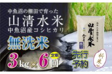 【先行新米予約】【定期便／全6回】無洗米3kg　新潟県魚沼産コシヒカリ「山清水米」十日町市 米