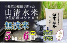 【先行新米予約】【定期便／全6回】無洗米5kg　新潟県魚沼産コシヒカリ「山清水米」十日町市 米