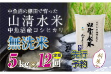 【先行新米予約】【定期便／全12回】無洗米5kg　新潟県魚沼産コシヒカリ「山清水米」十日町市 米