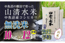 【先行新米予約】【定期便／全12回】無洗米10kg　新潟県魚沼産コシヒカリ「山清水米」十日町市 米