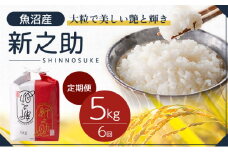 令和6年産 定期便 魚沼産 新之助 精米5kg×6回