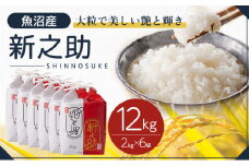 令和6年産 魚沼産　新之助　12kg(2kg×6袋)