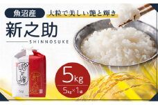 令和6年産 魚沼産　新之助　5kg