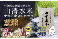 【先行新米予約】【定期便／全4回】玄米3kg 新潟県魚沼産コシヒカリ「山清水米」 