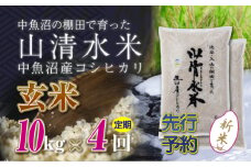 【先行新米予約】【定期便／全4回】玄米10kg 新潟県魚沼産コシヒカリ「山清水米」 