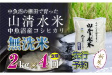 【先行新米予約】【定期便／全4回】無洗米2kg 新潟県魚沼産コシヒカリ「山清水米」 