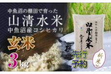 【先行新米予約】新潟県魚沼産コシヒカリ「山清水米」玄米3kg 