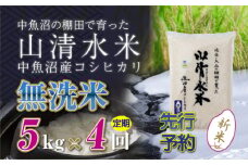 【先行新米予約】【定期便／全4回】無洗米5kg 新潟県魚沼産コシヒカリ「山清水米」 