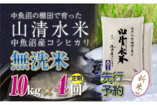 【先行新米予約】【定期便／全4回】無洗米10kg 新潟県魚沼産コシヒカリ「山清水米」 
