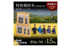 【通年受付】≪令和7年産≫　農家直送！魚沼産コシヒカリ特別栽培「白羽毛の米」精米 (300g×5袋) 1.5kg