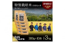 【通年受付】≪令和6年産≫　農家直送！魚沼産コシヒカリ特別栽培「白羽毛の米」精米 (300g×10袋) 3kg