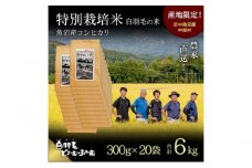 【通年受付】≪令和6年産≫　農家直送！魚沼産コシヒカリ特別栽培「白羽毛の米」精米 (300g×20袋) 6kg