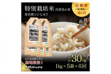 【通年受付】≪令和7年産 ≫【定期便／全6回】農家直送！魚沼産コシヒカリ特別栽培「白羽毛の米」精米5kg(1kg×5袋)×6回 計30kg お米 