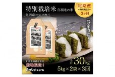 【通年受付】≪令和6年産　≫【定期便／全3回】農家直送！魚沼産コシヒカリ特別栽培「白羽毛の米」精米10kg(5kg×2袋)×3回 計30kg