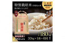 【通年受付】≪令和6年産　≫【定期便／1ヶ月おき全6回】農家直送！魚沼産コシヒカリ特別栽培「白羽毛の米」玄米(30kg×1袋)×6回  計180kg