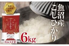 魚沼産 こしひかり 6kg 米 コシヒカリ お米 コメ 新潟 魚沼 魚沼産 白米 送料無料 新潟県産 精米 産直 産地直送 契約農家 お取り寄せ 壱成 新潟県 十日町市