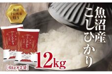 魚沼産 こしひかり 6kg ×2袋 計12kg 米 コシヒカリ お米 コメ 新潟 魚沼 魚沼産 白米 送料無料 新潟県産 精米 産直 産地直送 契約農家 お取り寄せ 壱成 新潟県 十日町市