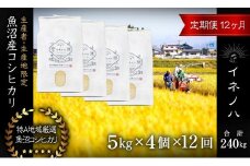 ＜定期便・全12回＞【令和6年産】魚沼産コシヒカリ「イネノハ 」精米(5kg×4)×12回
