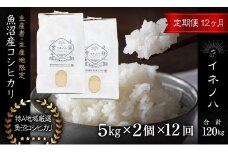＜定期便・全12回＞【令和6年産】魚沼産コシヒカリ「イネノハ 」精米(5kg×2)×12回