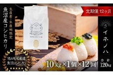 ＜定期便・全12回＞【令和6年産】魚沼産コシヒカリ「イネノハ 」精米(10kg×1)×12回