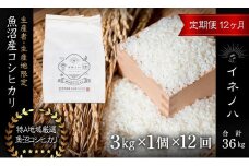 ＜定期便・全12回＞【令和6年産】魚沼産コシヒカリ「イネノハ 」精米(3kg×1)×12回