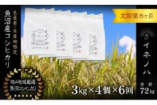 ＜定期便・全6回＞【令和6年産】魚沼産コシヒカリ「イネノハ 」精米(3kg×4)×6回