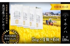 ＜定期便・全6回＞【令和6年産】魚沼産コシヒカリ「イネノハ 」精米(5kg×4)×6回