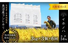 ＜定期便・全6回＞【令和6年産】魚沼産コシヒカリ「イネノハ 」精米(3kg×3)×6回