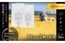 ＜定期便・全6回＞【令和6年産】魚沼産コシヒカリ「イネノハ 」精米(10kg×2)×6回