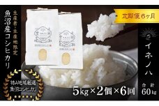 ＜定期便・全6回＞【令和6年産】魚沼産コシヒカリ「イネノハ 」精米(5kg×2)×6回
