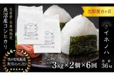 ＜定期便・全6回＞【令和6年産】魚沼産コシヒカリ「イネノハ 」精米(3kg×2)×6回
