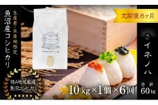 ＜定期便・全6回＞【令和6年産】魚沼産コシヒカリ「イネノハ 」精米(10kg×1)×6回