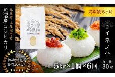 ＜定期便・全6回＞【令和6年産】魚沼産コシヒカリ「イネノハ 」精米(5kg×1)×6回
