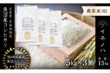 【令和6年産】 魚沼産コシヒカリ　「イネノハ 」精米(5kg×3)