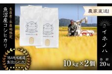 【令和6年産】 魚沼産コシヒカリ　「イネノハ 」精米(10kg×2)