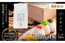 【令和6年産】 魚沼産コシヒカリ　「イネノハ 」精米(10kg×1)