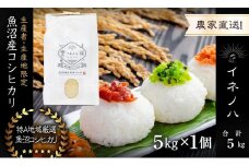 【令和6年産】 魚沼産コシヒカリ　「イネノハ 」精米(5kg×1)