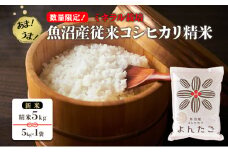 【数量限定！】あま！うま！ミネラル栽培の魚沼産従来コシヒカリ精米5kg【新米】(5kg×1袋)