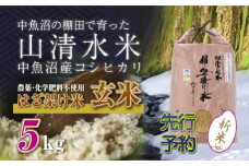 【先行新米予約】新潟県魚沼産コシヒカリ◇玄米５kg 栽培期間中農薬・化学肥料不使用「山清水米」はざ架け米 