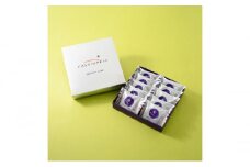 ブラウニー 10個入り カシオペア 笹川流れの塩ブラウニー 限定商品 塩ブラウニー お菓子 菓子 焼き菓子 焼菓子 スイーツ デザート おやつ お土産 土産 個包装 カシオペア紀行 限定 新潟 新潟県 十日町市 十日町すこやかファクトリー