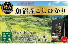 【令和7年産新米予約】【食味鑑定士厳選】3カ月 定期便 日本棚田百選のお米 天空の里 魚沼産 こしひかり 5kg×3回 米 お米 コメ